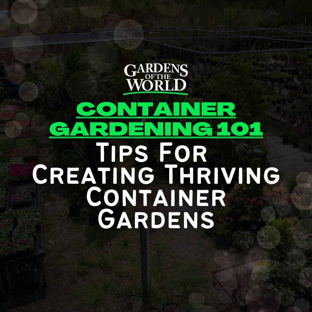 Container Gardening 101: Tips for Creating Thriving Container Gardens