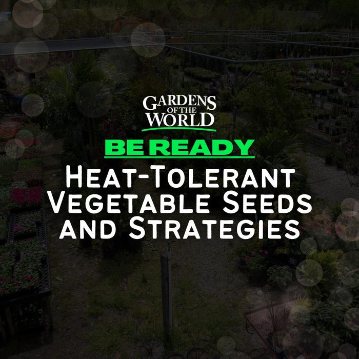 Be Ready: Heat-Tolerant Vegetable Seeds and Strategies