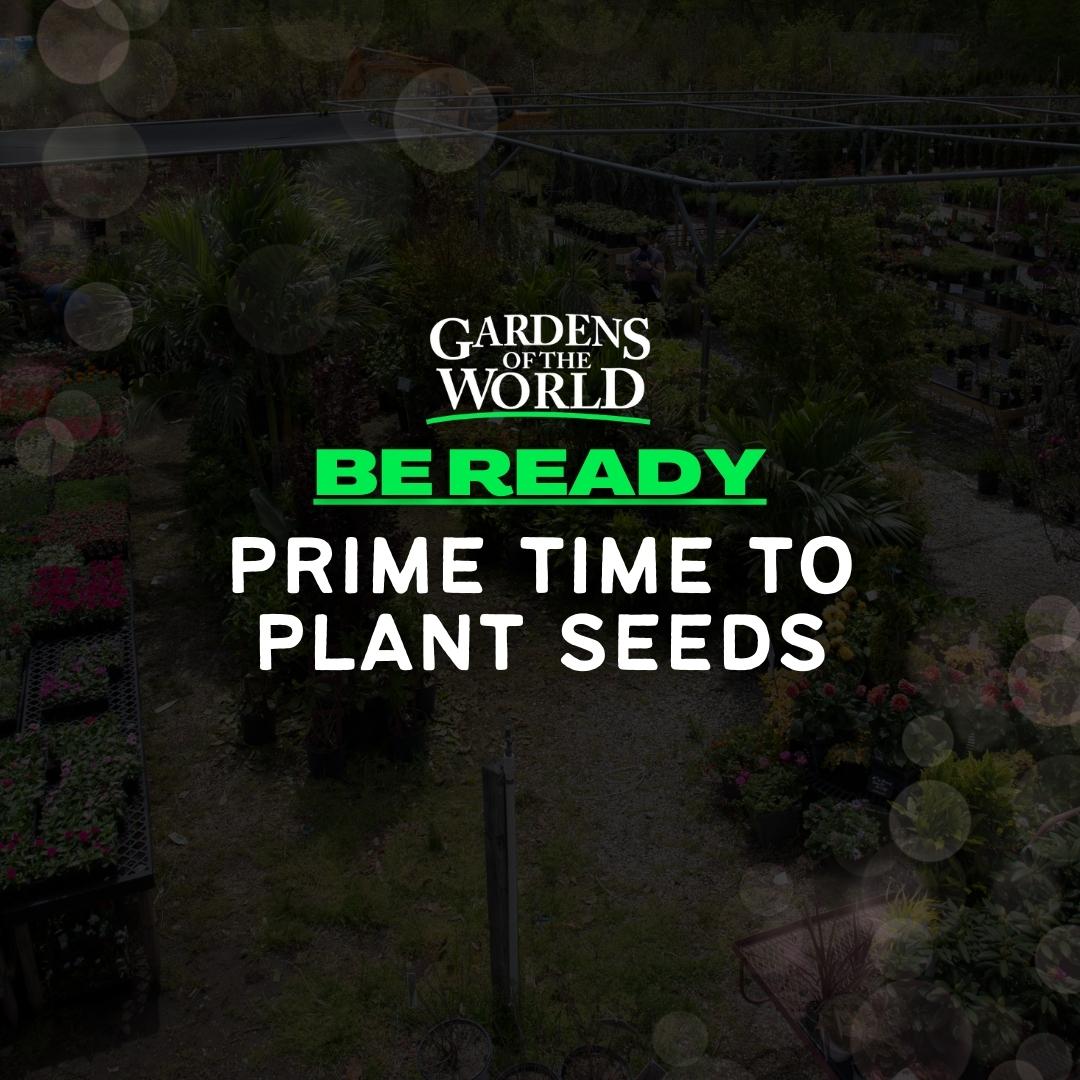 Be Ready: Prime Time To Plant Seeds
