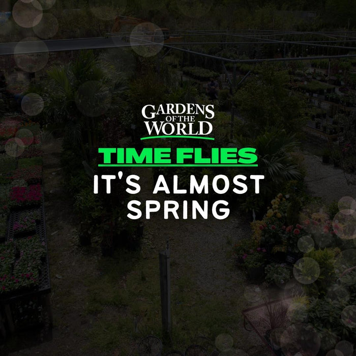Time Flies: It's Almost SPRING!