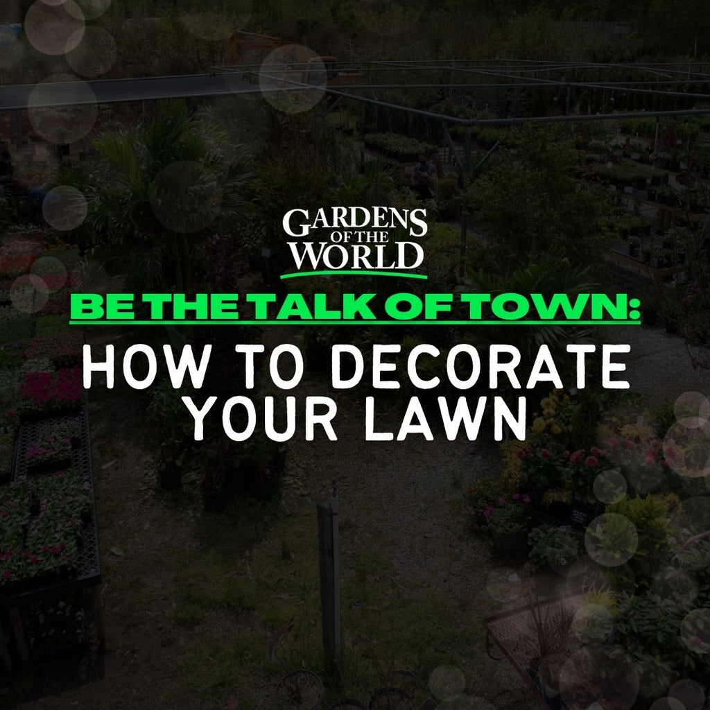 Be The Talk Of Town: How To Decorate Your Lawn