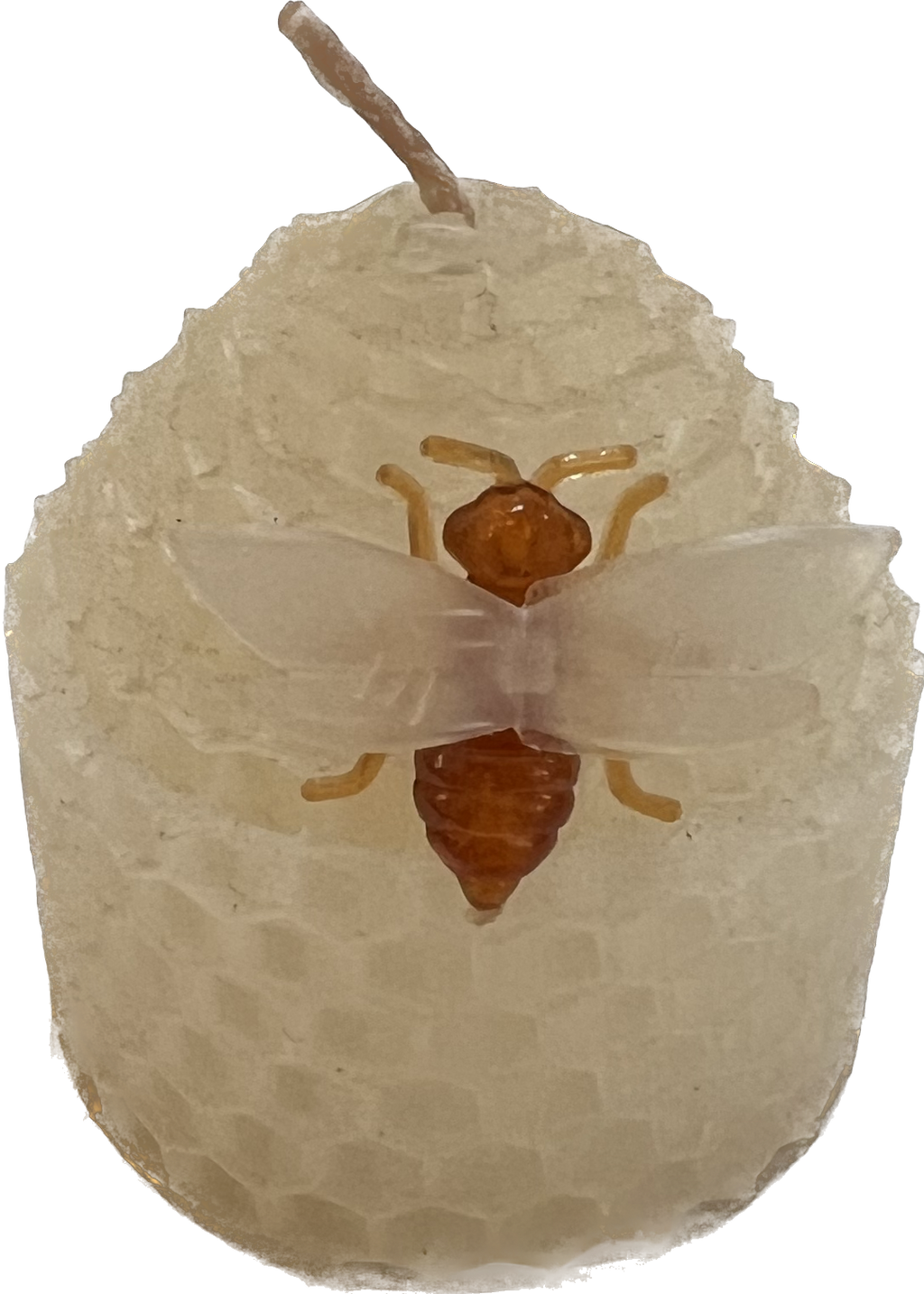 Home Decor — Gardens of the World