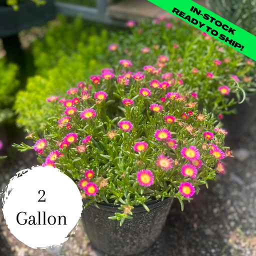 Trees & Shrubs Catalog — Gardens of the World