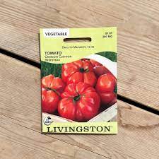 Livingston Seeds - Crimson Cushion Beefsteak Tomato