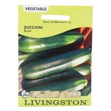 Livingston Seeds - Zucchini Bush Squash