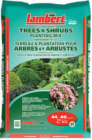 Organic Tree and Shrub Plantation Mix