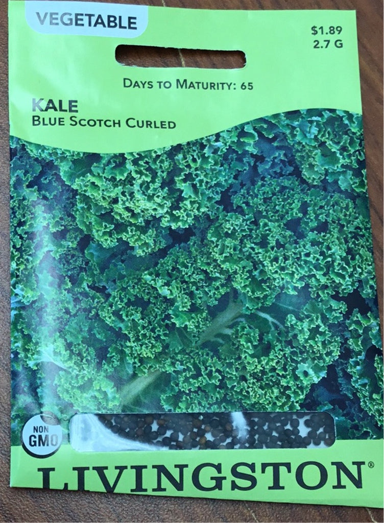 Livingston Seeds - Dwarf Blue Scotch Curled Kale