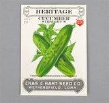 Hart's Seeds - Heritage Straight 8 Cucumber